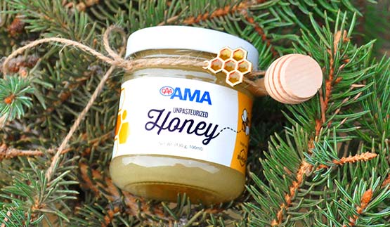 Building Bee Awareness | AMA