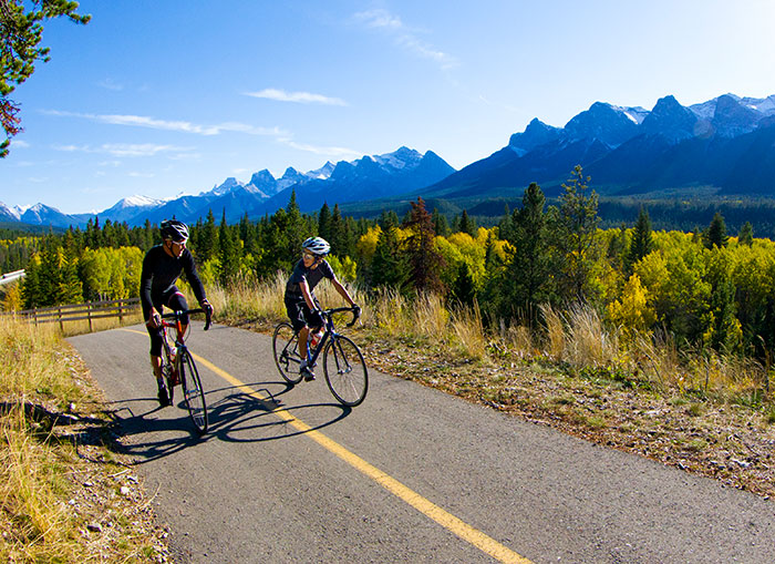 Speed Limits & Signs in Alberta | AMA