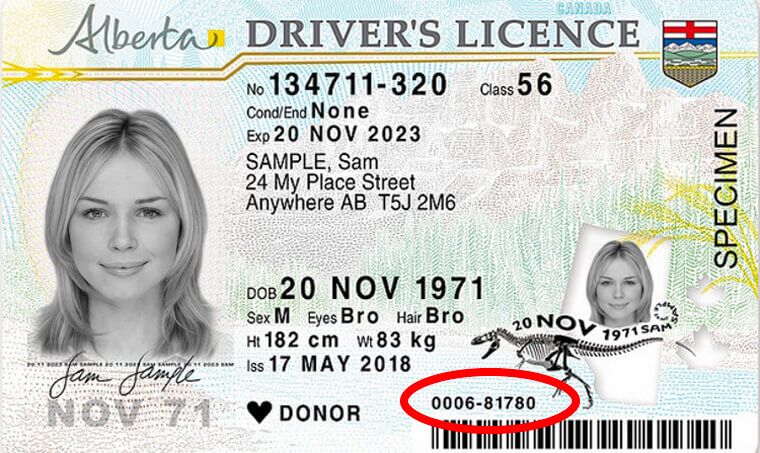 MVID driver licence example
