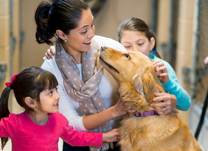 Quick Tips for Safer Driving AMA