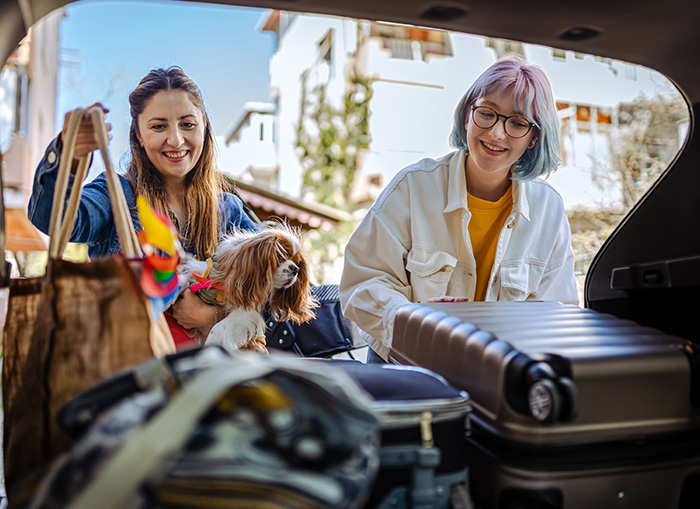 Traveling with Pets AMA